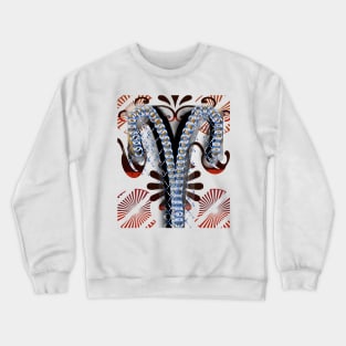 aries1 Crewneck Sweatshirt